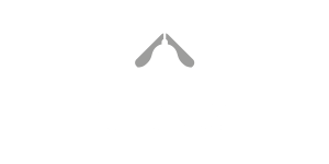logo san leonino